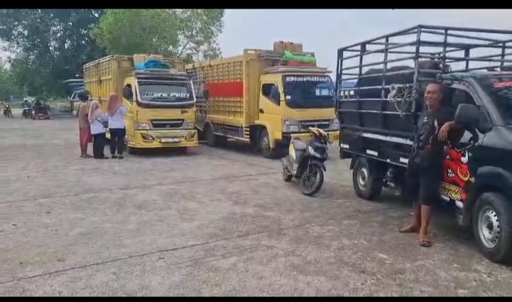 Pemeriksaan Hewan Yang Dilakukan Dinas Pertanian
